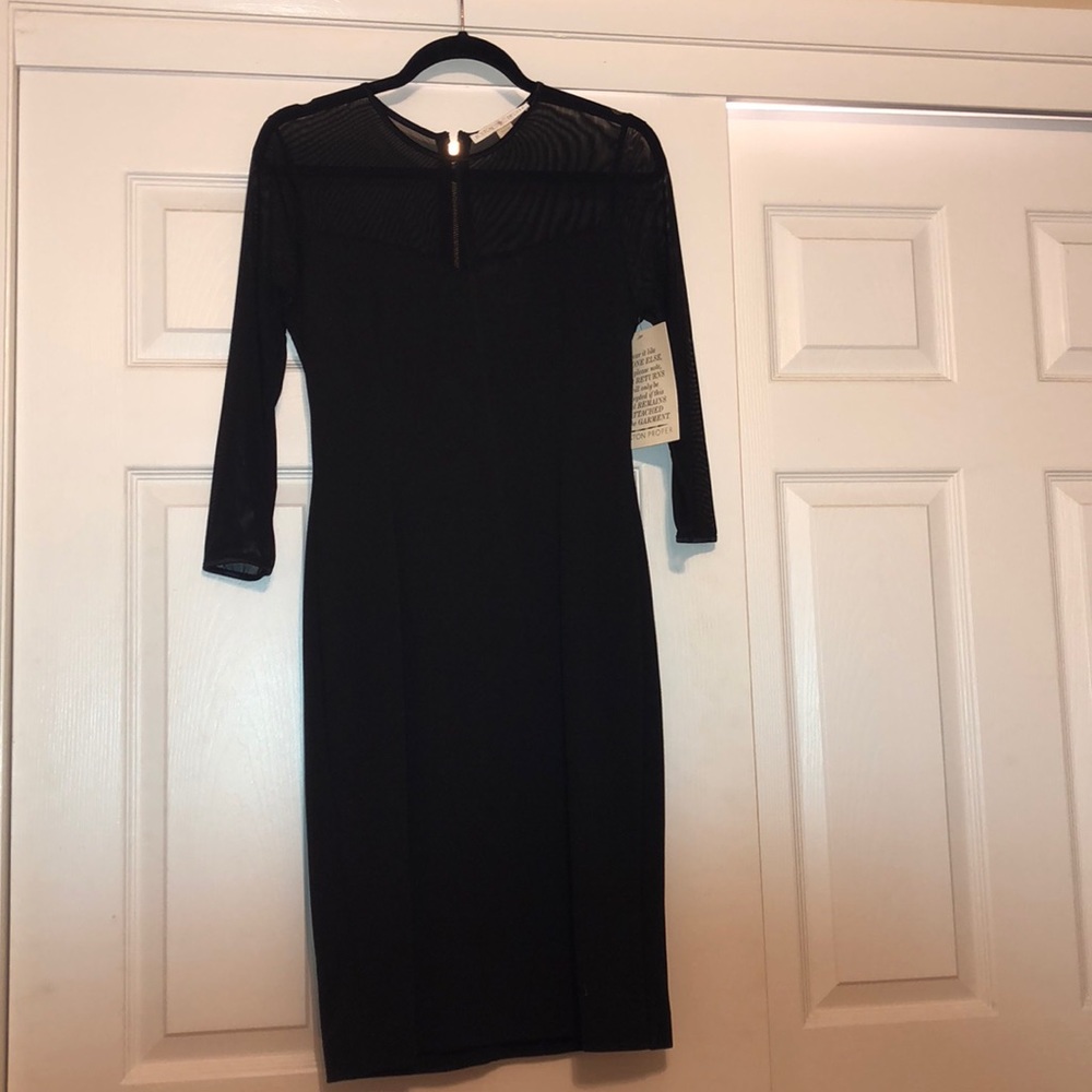 Mesh Sleeve Dress NWT